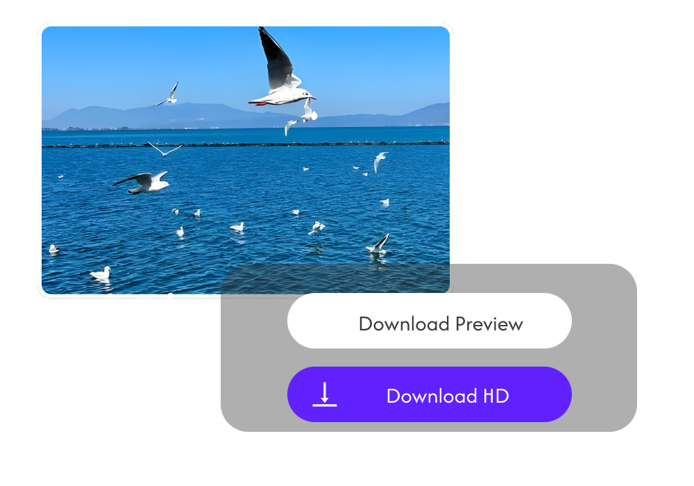 Download and Share